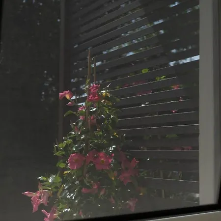 Penelope San Felice Circeo